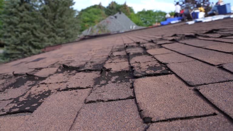 Best Emergency Roof Repair Services  in Walnut Creek, OH